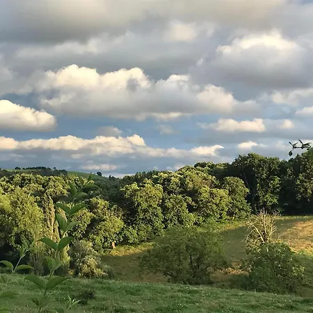 Hilltop Haven In