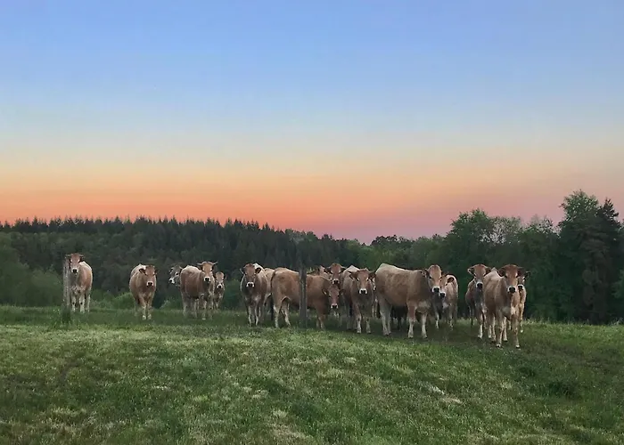 Hilltop Haven In Parlan Casa de Férias