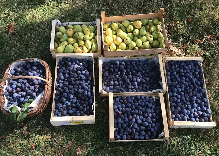 Hilltop Haven In Parlan Casa de Férias